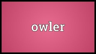 Owler Meaning [upl. by Hpeseoj61]