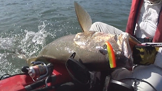 Trailer  Kayak Fishing  Nuno Morão  YouTube [upl. by Tubb]