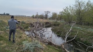 caza de carpincho y nutria [upl. by Nalliuq]