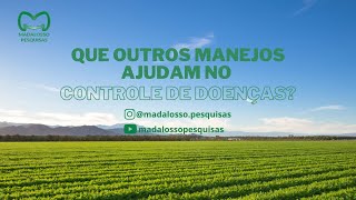 Que outros manejos ajudam no controle de doenças [upl. by Othilie]