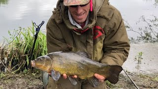 Just out of view trip 228  a great fight from a tench on my float rod and a lost carp [upl. by Gertrude654]