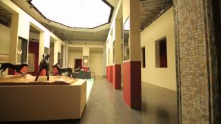 Ausstellungsfilm quotPompeji Götter Mythen Menschenquot [upl. by Garrick901]