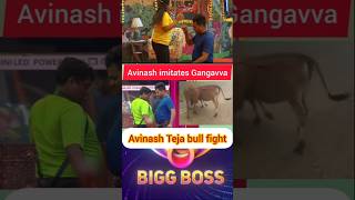 Avinash imitates Gangavva  Avinash vs Teja bull fight  Bigboss Telugu [upl. by Anileba65]