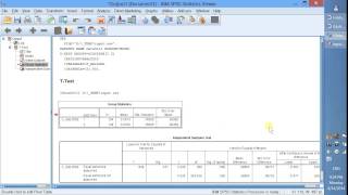 Independent Sample TTest  Phân tích Independent Sample TTest trong SPSS nhóm MBA thực hiện [upl. by Iborian]