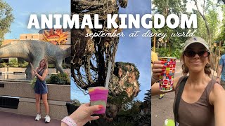 ANIMAL KINGDOM 🌳 🦁 🌺🐠 Safari Flight of Passage DINOSAUR Satuli Canteen Everest Lion King Nemo [upl. by Anoyi189]