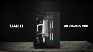 LIAN LI  O11 DYNAMIC MINI Official Video [upl. by Noelle395]