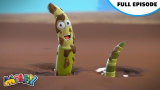 Mud Molevelous Mud  Full Episode  Moley [upl. by Wachter48]