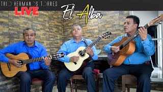 Trio Hermanos Torres  El Alba Live [upl. by Kcirdneh468]