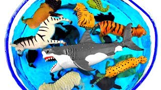 Box Of Wild Zoo Animals Learn Zoo and Sea Animal Names Toys for Kids [upl. by Connelly]