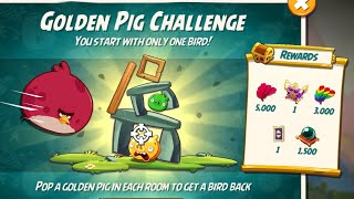 13 Gardening with Terence  Angry Birds HD [upl. by Nahk]