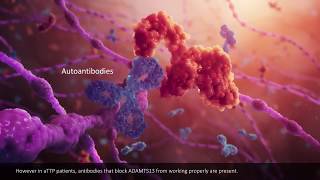 What is TTP Thrombotic Thrombocytopenic Purpura [upl. by Yorle]