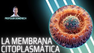 MEMBRANA CITOPLASMÁTICA bacteriana en 5 min [upl. by Chemaram36]