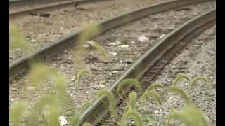 Boy loses leg after being struck by train [upl. by Kcirdor221]