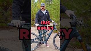 2025 Ibis Ripley V5 Review mtb shorts [upl. by Nuahc256]