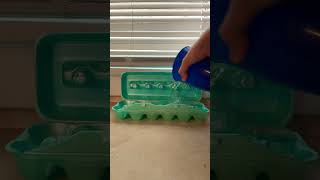 Pour water into a egg carton ￼ [upl. by Elka649]