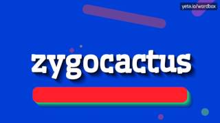 ZYGOCACTUS  HOW TO PRONOUNCE IT [upl. by Jerry]