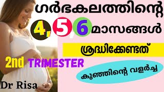 Pregnanacy Care for Second Trimester Malayalam  46 Month of Pregnancy  Pregnancy Care Tips [upl. by Dhruv]