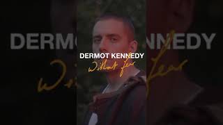 Dermot Kennedy  Without Fear [upl. by German]