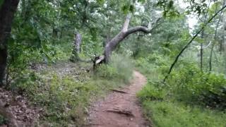 Serpentine trail Soldiers Delight Park in Maryland [upl. by Laamak]