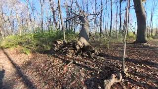 Knoch Knolls Park Walking Tour  🍁 Fall Season – 4K [upl. by Archambault]