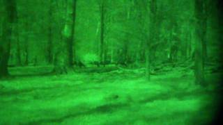 Night Lux NV Mono AX Wild 150 180 Meter drittel Mond kein IR Full HD [upl. by Eivla]