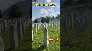 Srebrenica Graveyard  bosnia bosnian palestine [upl. by Tnomed934]