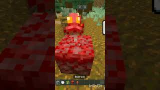 Neither trees is to powerful in minecraft minecraft subscribe shorts gaming [upl. by Dierdre]