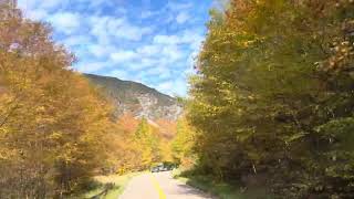 fallfoliage newengland vermont upstateny Berkshires [upl. by Noirod]