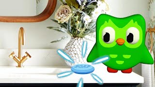 How to wash Duolingo [upl. by Ahtanaram]