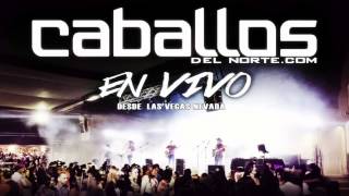 EN VIVO El Caballito Caballos del norte [upl. by Pia]