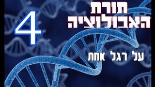 תורת האבולוציה על רגל אחת 4  ראיות גנטיות [upl. by Ayit]