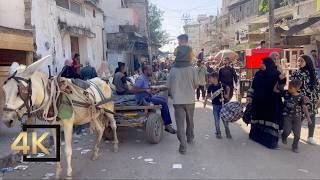 NEW VIDEO FROM GAZA 🇵🇸  14 Nov 2024  Gaza Palestine  Gaza During War  فلسطين غزة [upl. by Nitsreik496]