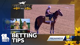 Betting tips for Preakness 149 from handicapper Mackenzie Pheiffer [upl. by Hephzipah]