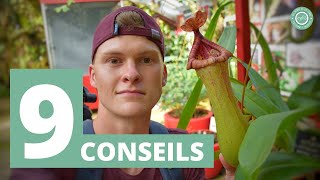 Comment CULTIVER cette Plante Carnivore Nepenthes   9 Conseils [upl. by Agnes]