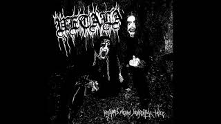 Vetala Portugal  Retarded Necro Demential Hole Full Album 2018 [upl. by Noswal]