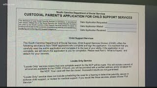 Parents say new South Carolina DSS child support system is long overdue [upl. by Leanna]