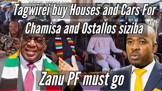 Tagwirei buy Houses and Cars For Chamisa and Ostallos 🇿🇼 [upl. by Ameehsat]