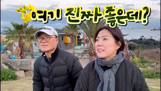 제주 여행 ✈️  제주도 7만원대 숨은 가성비 호텔을 소개합니다 [upl. by Radmen]