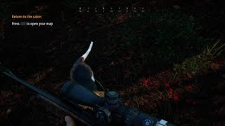 Hunting Simulator 2 First Deer [upl. by Aliak792]