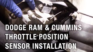 Dodge RAM amp Cummins Throttle Position Sensor Installation [upl. by Little673]