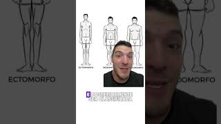 TREINO PARA BIOTIPO ECTOMORFO MESOMORFO ENDOMORFO [upl. by Vivianne]