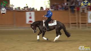 World reining team amp individuals event  World champion Nico Sicuro amp Colonels score 🇮🇹 2285 🇮🇹 [upl. by Notrom]