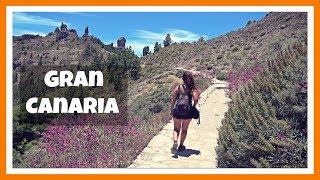 Gran Canaria Top 5 Imprescindibles Teror Roque Nublo y Bandama  To Do Gran Canaria  Canarias 11 [upl. by Clothilde319]