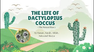 Dactylopius Coccus Assignment 1 [upl. by Milurd512]