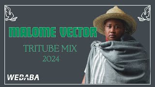 🕊🕊 Malome Vector Tribute Mix 2024🕊🕊 Dj Webaba [upl. by Pedaias]