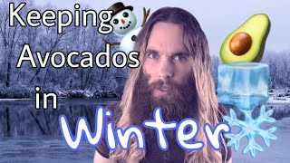 GARY’S TIPS FOR GROWING AVOCADO TREES  LIVESTREAM [upl. by Eng]