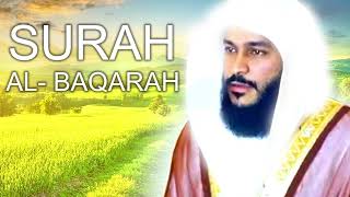 SURAH AL BAQARAH ┃BY ABDULRAHMAN ALOOSI ┃AMAZING RECITATION [upl. by Hartzel740]