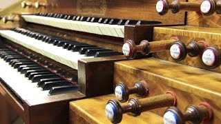 Fröhliche Weihnacht überall Violin amp Organ [upl. by Atilef341]