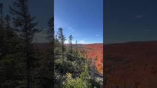 Check out the view in the Lutsen Mountains fallcolors [upl. by Esma665]