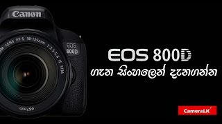 Canon EOS 800D ගැන සිංහලෙන් දැනගන්න [upl. by Dnyletak]